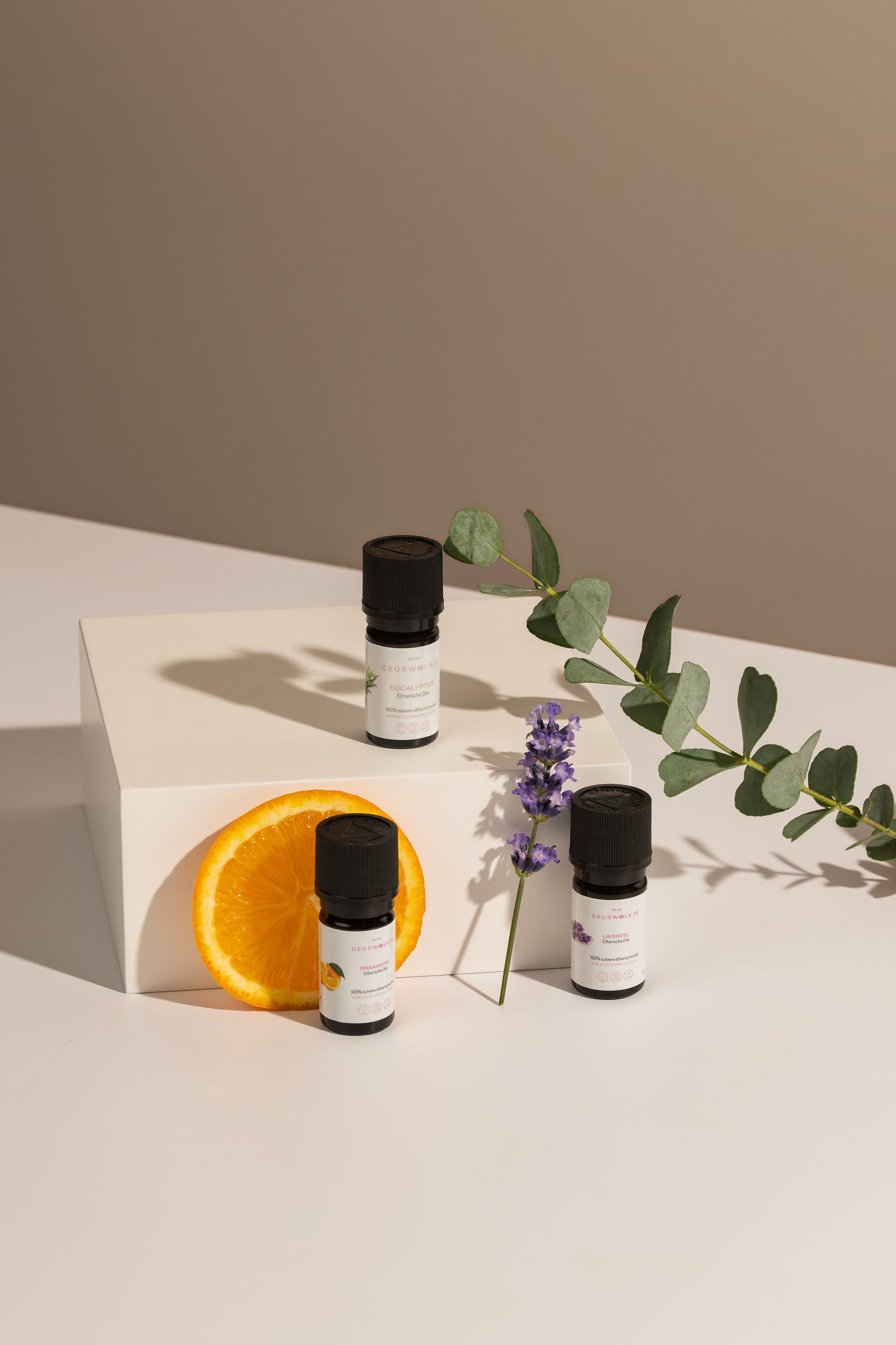 Daily Balance Trio Etherische Olie Bundel Eucalyptus · Sinaasappel · Lavendel