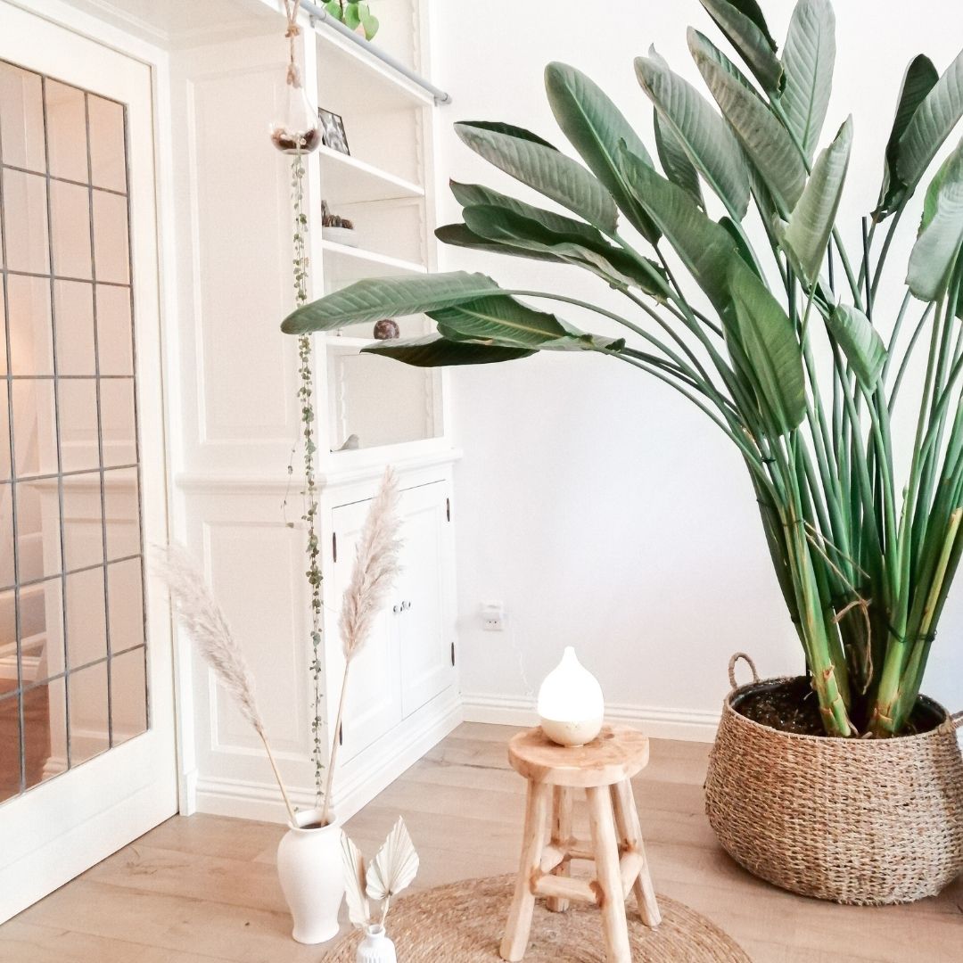 Geurwolkje Aroma Diffuser in licht hout Close 2 Nature 2.0, perfect voor geurverspreiding.