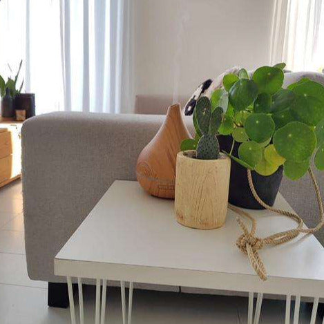 Geurwolkje Aroma Diffuser in licht hout Unity voor het verspreiden van aroma&