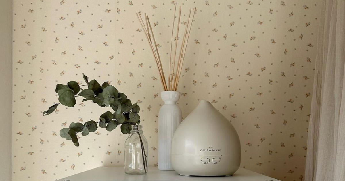 aroma diffuser geurwolkje