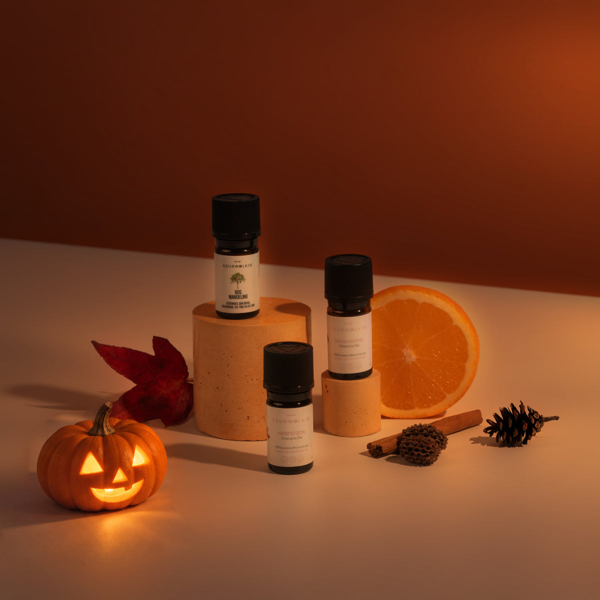 Herfstbundel met Herfstzon, Boswandeling en Sinaasappel bij avondlicht met Halloween-pompoen.