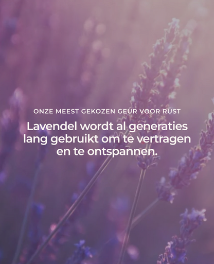 Lavendelolie 100% etherische olie 10ml 