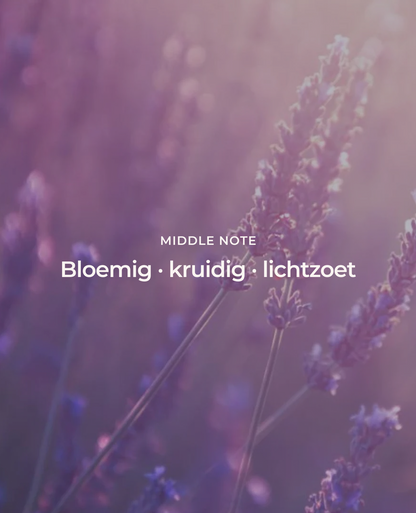 Premium lavendelolie 10ml van hoge kwaliteit