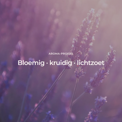 Lavendel (Frans) - 100% Premium Etherische Olie - 5, 10 en 50 ml