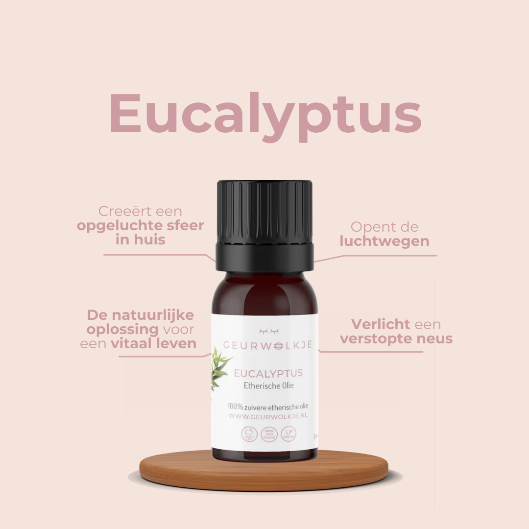 eucalyptus, stomen tegen verkoudheid, verlicht verstopte neus