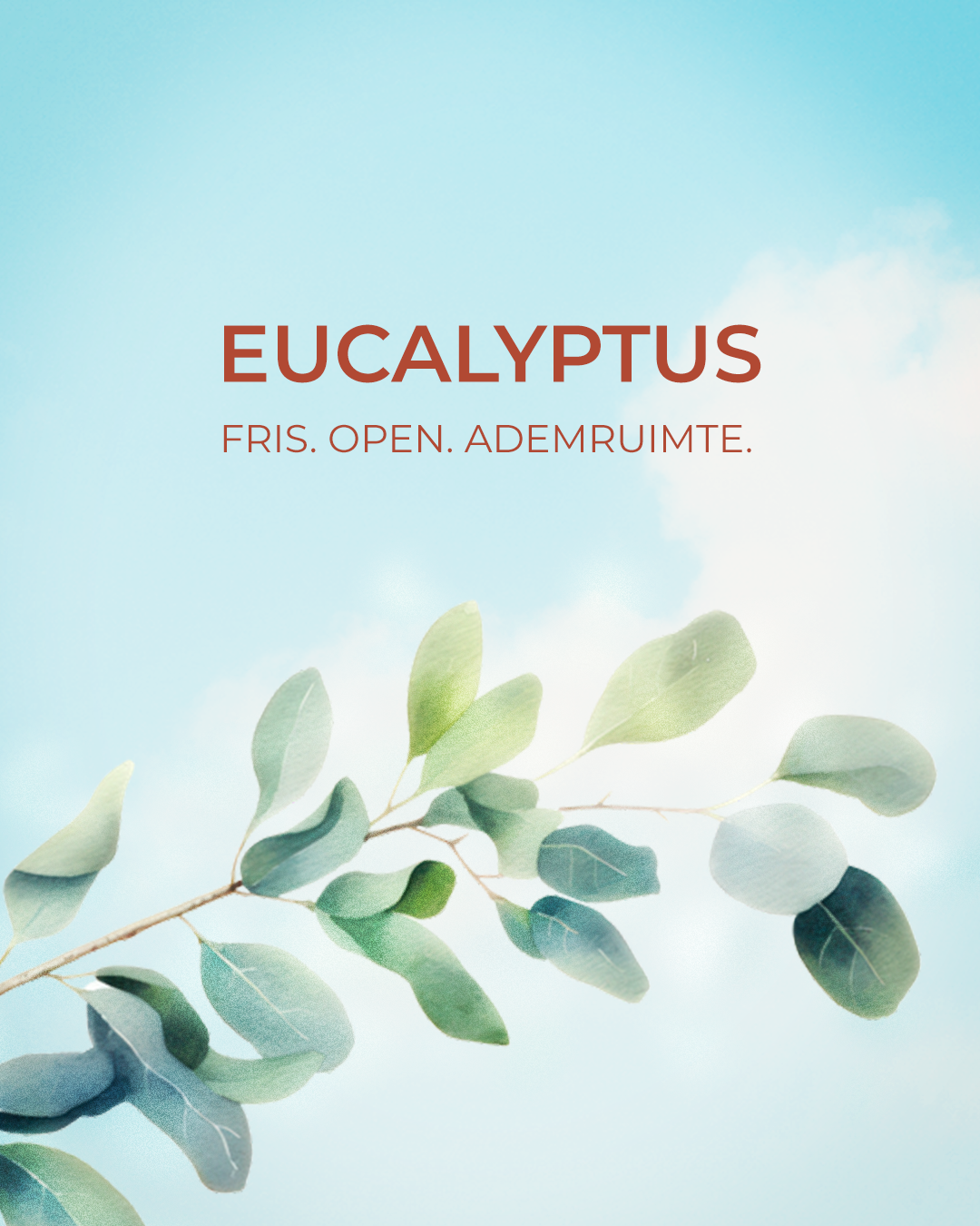 Daily Balance Trio Etherische Olie Bundel  Eucalyptus · Sinaasappel · Lavendel