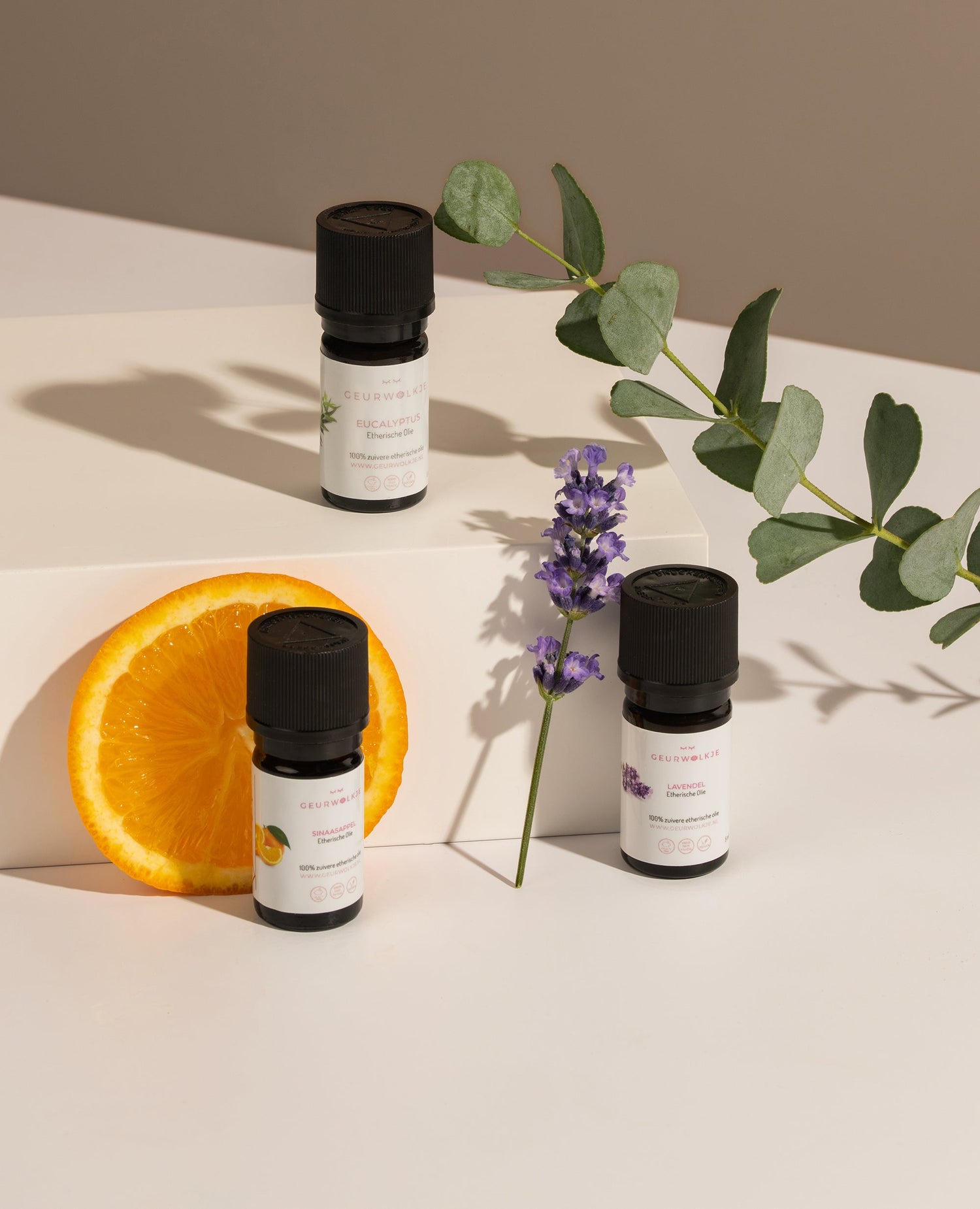 Geurwolkje lavendel, sinaasappel en eucalyptus etherische olie met verse bloemen