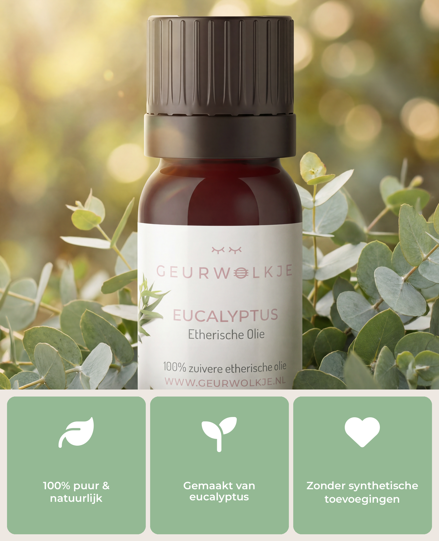 Eucalyptus - 100% Etherische Olie - 5, 10 en 50 ml