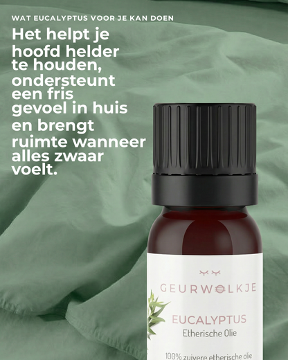 Eucalyptus - 100% Etherische Olie - 5, 10 en 50 ml