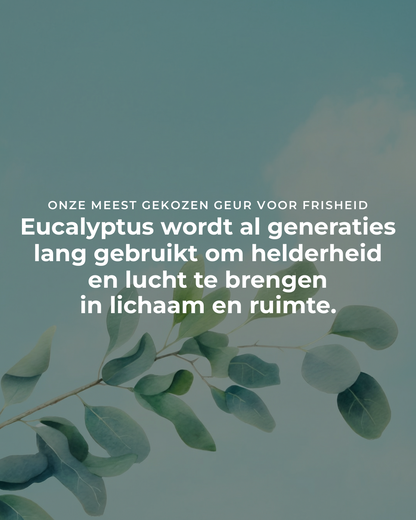 Eucalyptus - 100% Etherische Olie - 5, 10 en 50 ml