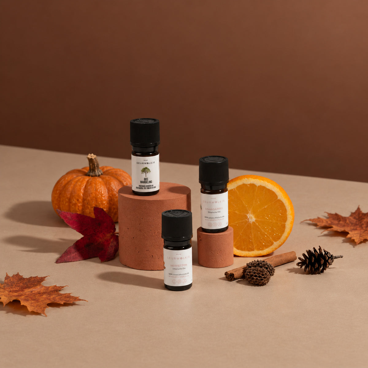 Herfstbundel met Herfstzon, Boswandeling en Sinaasappel