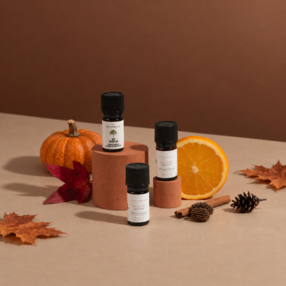 Herfstbundel met Herfstzon, Boswandeling en Sinaasappel