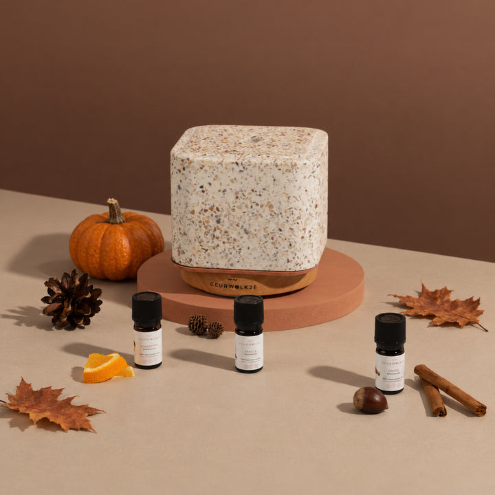 Pumpkin Spice bundel met Living Green Kubus diffuser, Kaneel, Sinaasappel en Vanille
