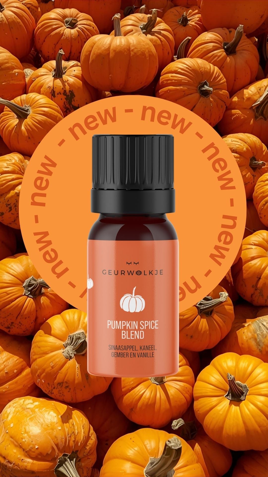 Pumpkin Spice - Geurwolkje® Blend - 100% Etherische Olie - 5 ml