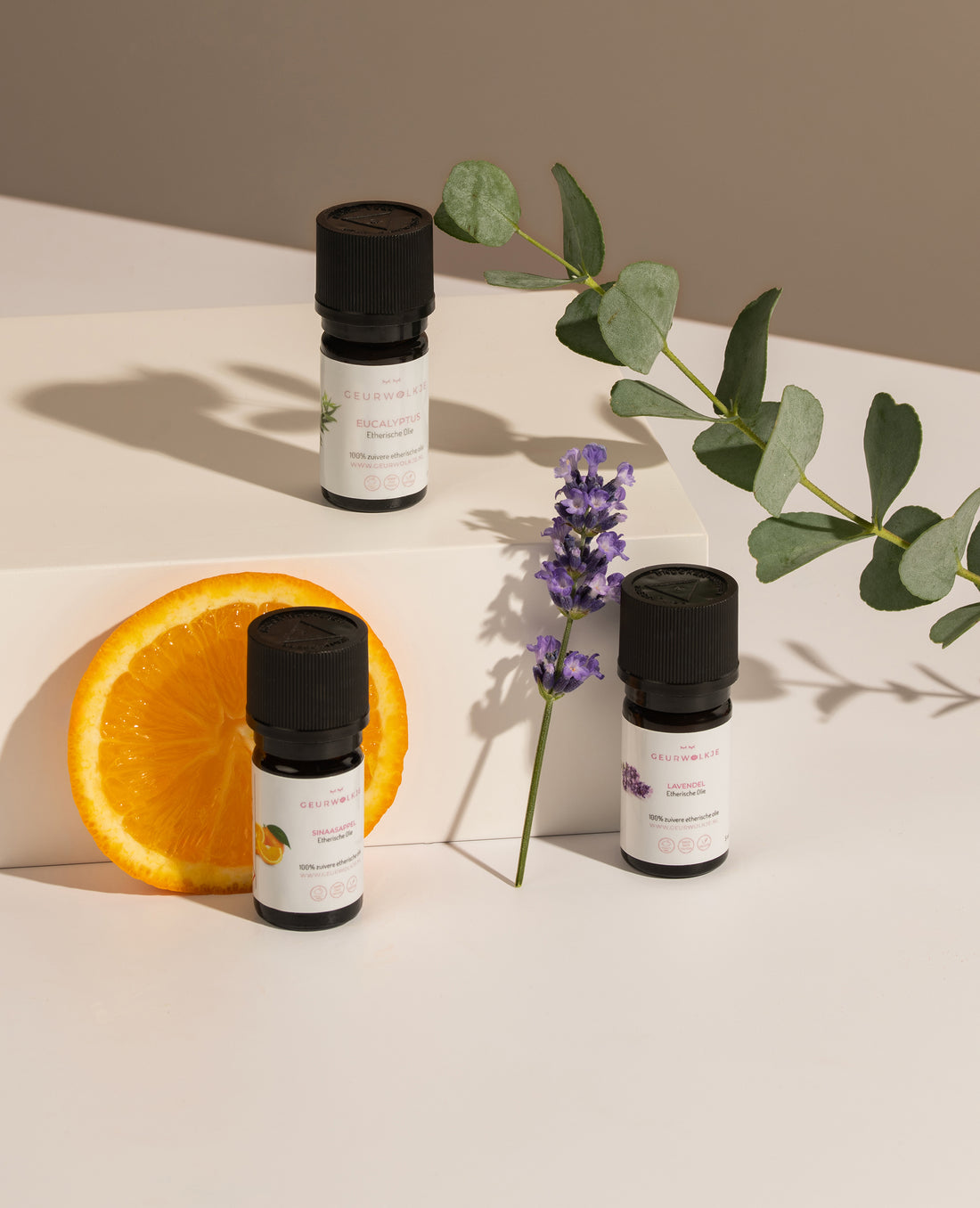 Daily Balance Trio Etherische Olie Bundel  Eucalyptus · Sinaasappel · Lavendel