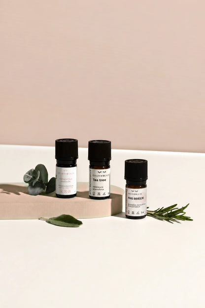 Geurwolkje Vitaliteitsbundel met Fris Briesje 5 ml, Tea Tree en Eucalyptus op een nude achtergrond