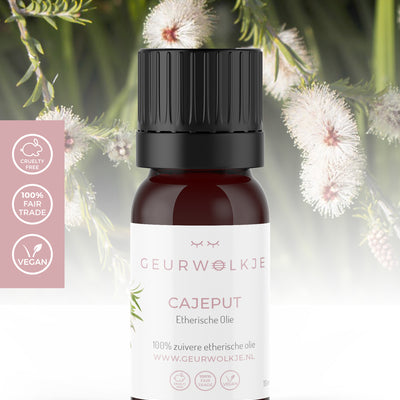 Cajeput - 100% Etherische Olie - 10 ml