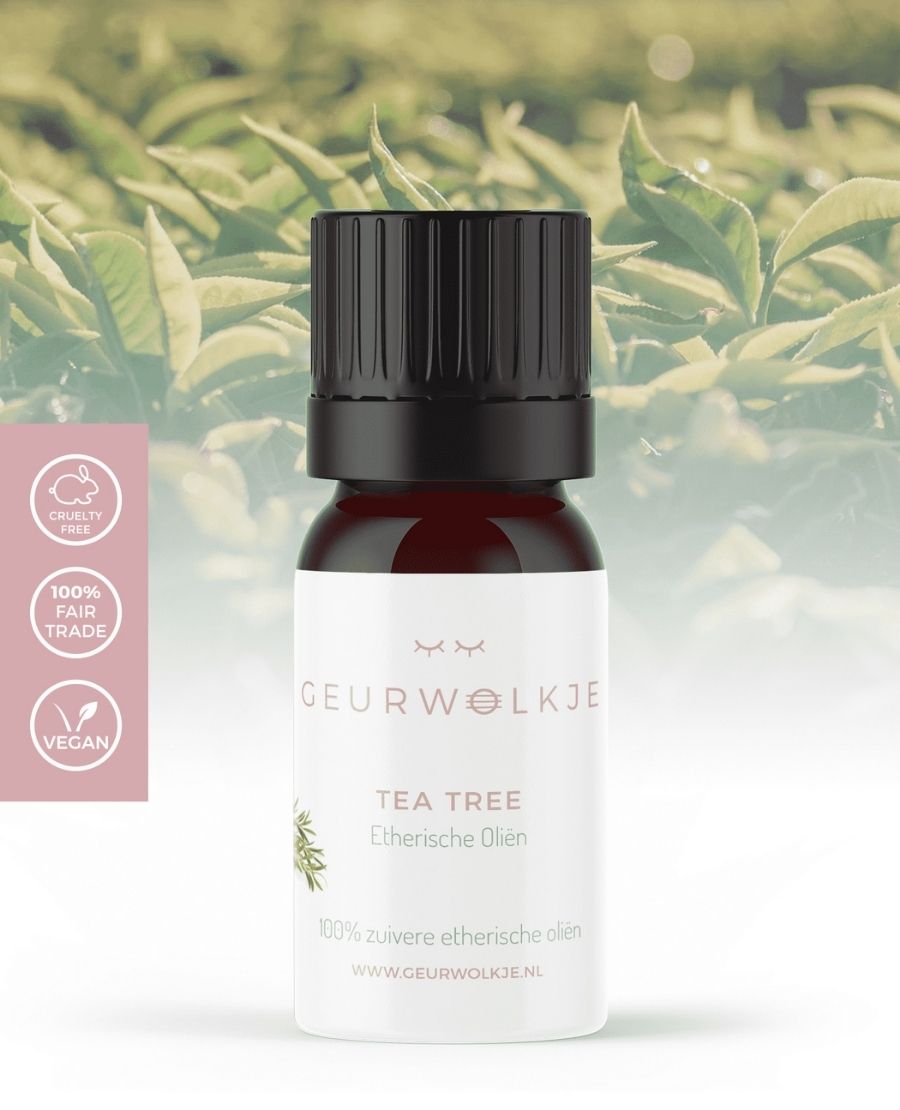 Tea Tree, Etherische Olie