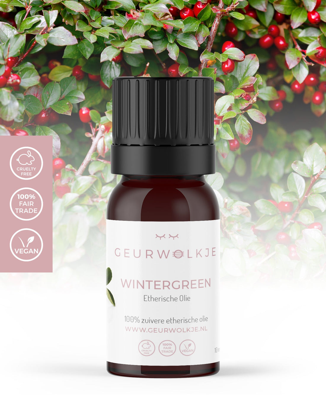 Wintergreen - 100% Etherische Olie - 10 ml