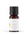 Ylang Ylang - 100% Etherische Olie - 10 ml